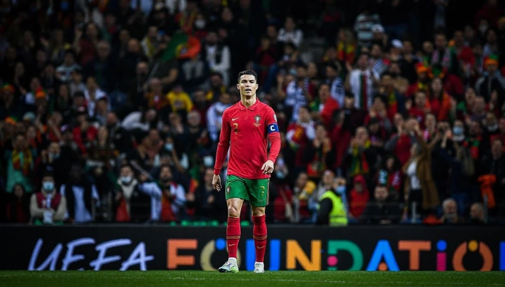 他绝对有机 他绝对有机